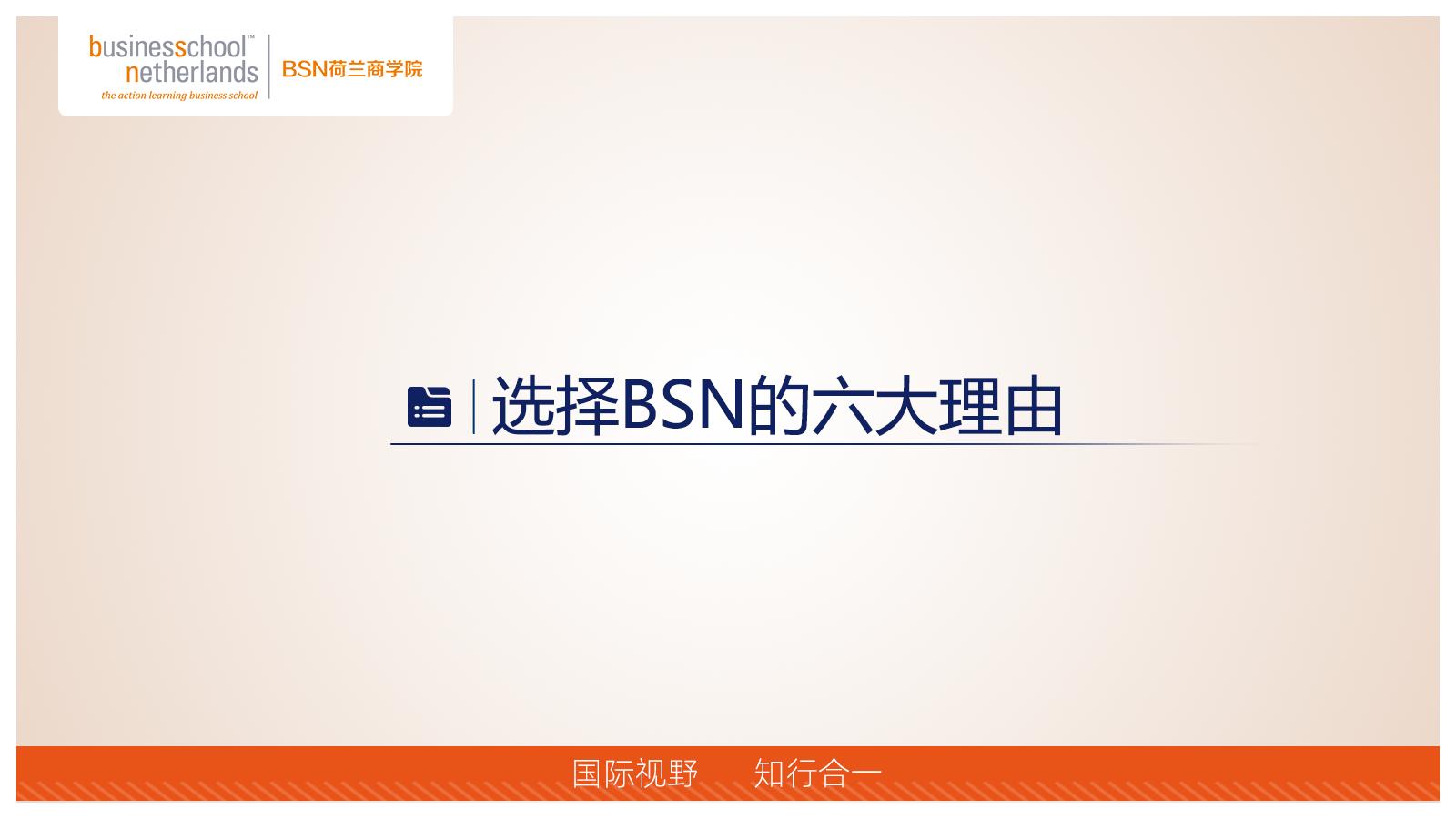 BSN荷蘭商學(xué)院MBA（線上）